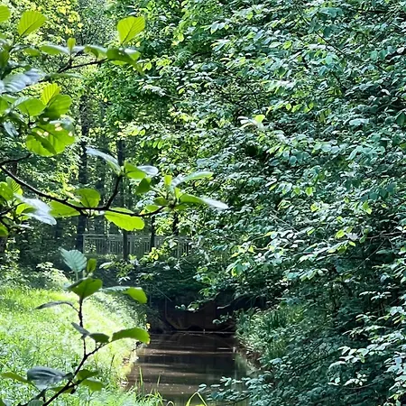 Taylors Allerhaus Dom wakacyjny *