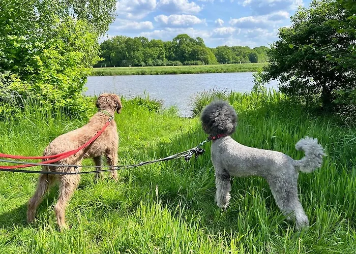 بيت للعطل Taylors Allerhaus